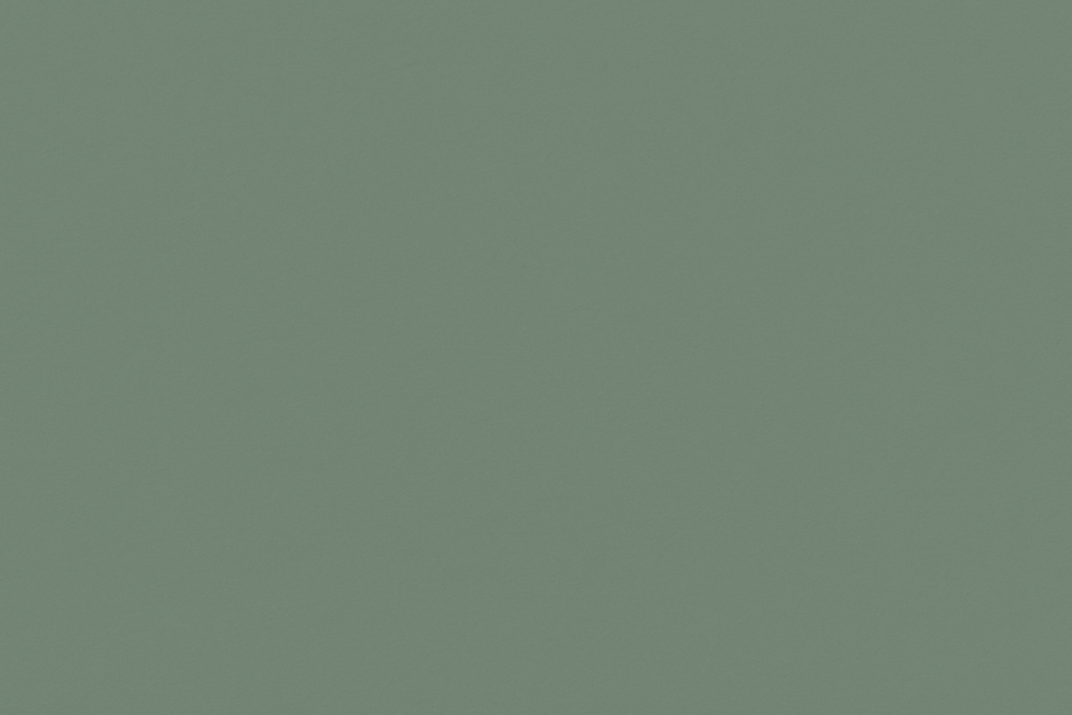 Blank image with this color as the background #568470